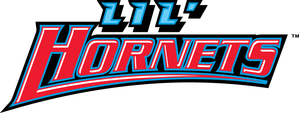 Delaware State Hornets 2004-Pres Misc Logo v3 diy iron on heat transfer